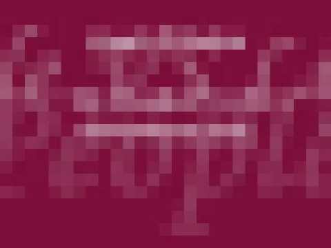 Steady Wisdom - The People Vs Life