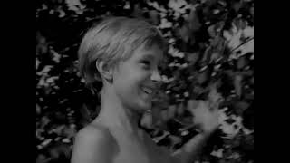 &#39;Life, Life&#39; by Ryuichi Sakamoto feat  David Sylvian