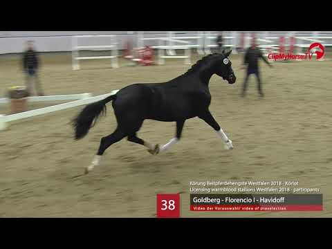 38 Hengst v. Goldberg - Florencio I - Havidoff