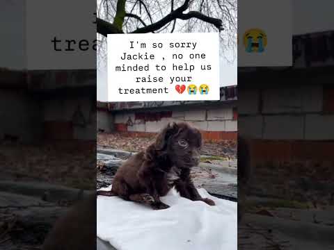 please save me link in bio to donate treatment #NYC#LosAngeles#Chicago#Texas#Florida#california