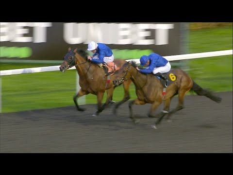 WARREN POINT looks exciting in Listed Floodlit Stakes