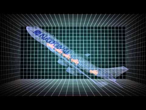 Bagram airport cargo plane crash kills seven