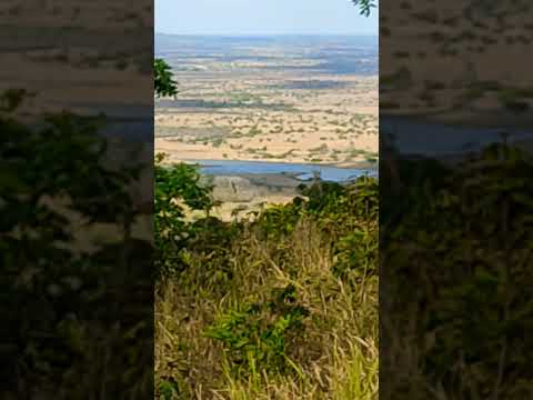 sentido a Paulo Jacinto