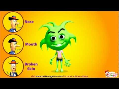 Germs Movie for Kids Virus \u0026 Bacteria Introduction