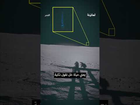 Yemeni Windows Media