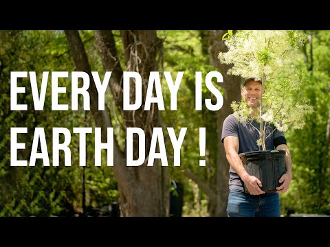 Trees are AMAZING! They Seed, Feed, and Fuel Life on Earth!