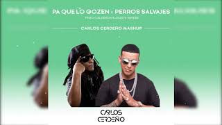 Tego Calderon x Daddy Yankee - Pa que lo gozen x Perros Salvajes (Carlos Cerdeño Mashup)📥DESCARGA📥
