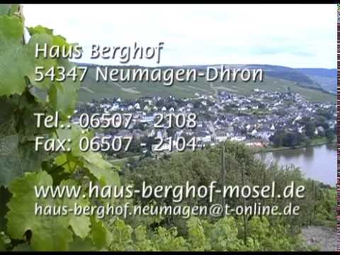 Moselurlaub im Haus Berghof an der Mittelmosel