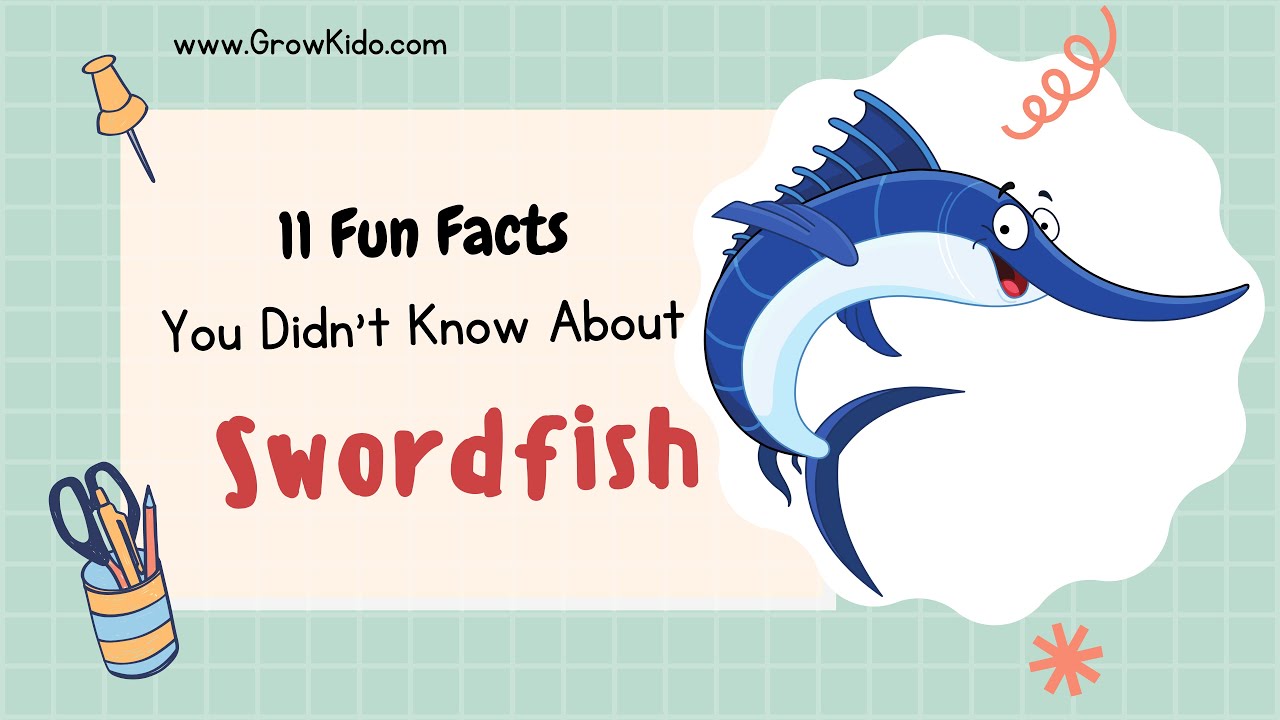 11 (New) Swordfish Facts You Didn't Know [Must Check #3]