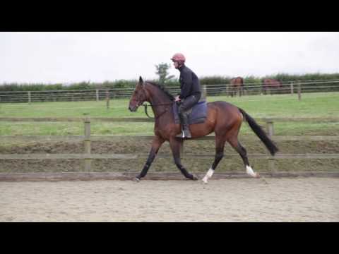 Boreham Bill | 11.08.2016