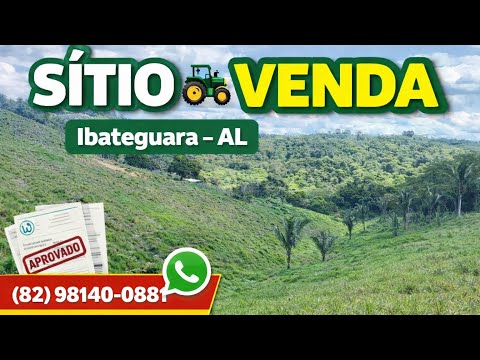 🚜 SÍTIO À VENDA EM IBATEGUARA-AL 🌿 Oportunidade Única no Interior de Ibateguara! (82) 981400881 ! 