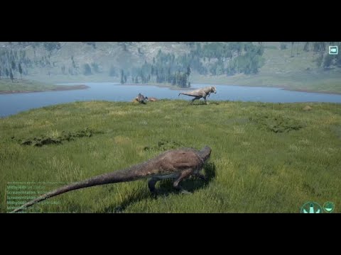 Allo vs giga compilation