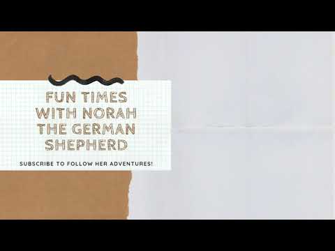 first intro of my baby #Norah❤