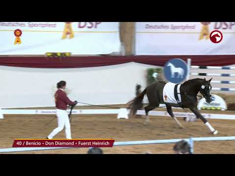 KN 40 von Benicio / Don Diamond