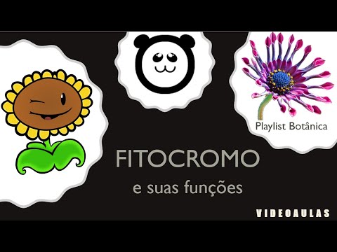 , title : 'Fitocromo - Fotoblastismo, Estiolamento e Fotoperiodismo'