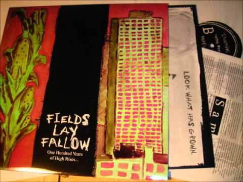 fields lay fallow - notes on paradigms