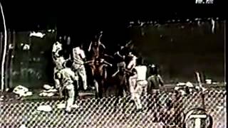 ▶ Die Toten Hosen   Pushed Again   YouTube