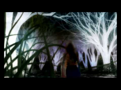 Raztech & Agnes vs David Guetta mash up.avi