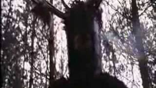 The Knights Who Say, &quot;Ni!&quot;