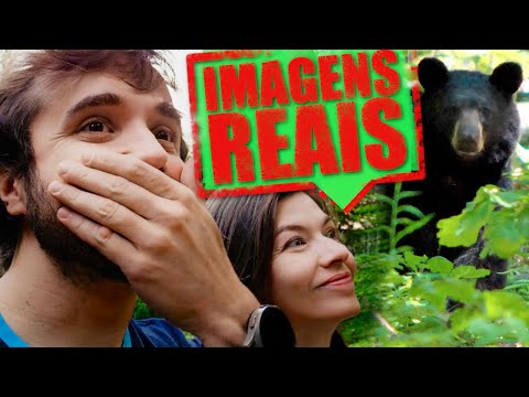 APARECEU UM URSO NO FUNDO DA NOSSA CASA! - Ep.1654