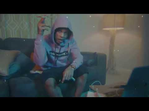 Wildlife Pettodene   Wilder Thoughts