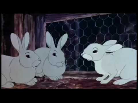 Watership Down Trailer Clasicc 1978