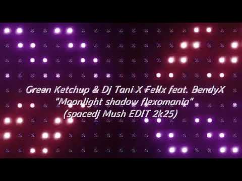 Green Ketchup & Dj Tani X Fel!x feat. BendyX - Moonlight shadow flexomania(spacedj Mush EDIT 2k25)