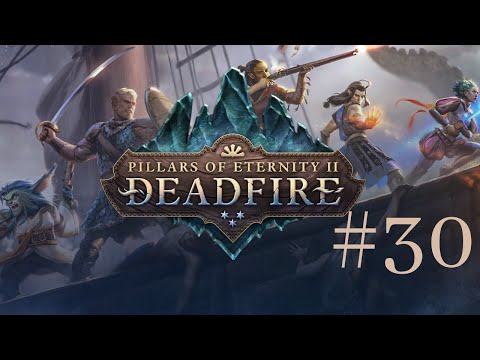 Pillars of Eternity II: Deadfire #30