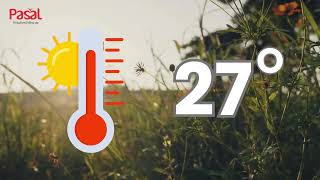 [PW 2026] Dubbing Weather Forecast