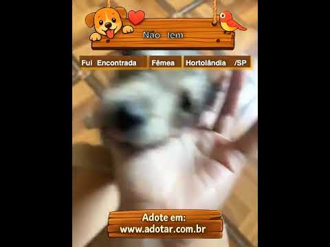 Vídeo de Não tem 