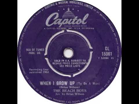 UK New Entry 1964 (247) The Beach Boys - When I Grow Up (To Be A Man)