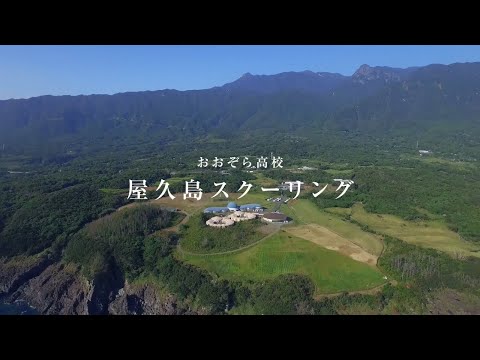 おおぞら高校|屋久島スクーリング_long_ＫＴＣ学園屋久島おおぞら高等学校（学校法人）