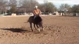 Ortiz Vasquez Reining, Rancho el Fortin