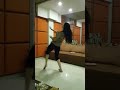 Super Sexy Dance By Hot Girl