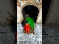 How To Make An Unraidable Base In Scum, New Dial Locks And How To Build Inside Prefabs & Churches!