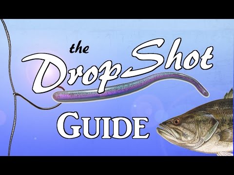 Hurtig guide til dropshot-fiskeri