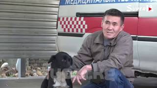 Кыргыз