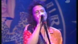 Wolfgang Niedecken &amp; Leopardefellband - Nix andres em Kopp - Live 1995