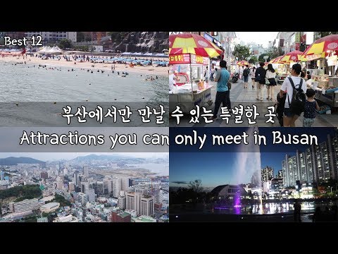 BEST 12 Tourist attractions you can only meet in Busan [Korea Travel] / Hoontamin
