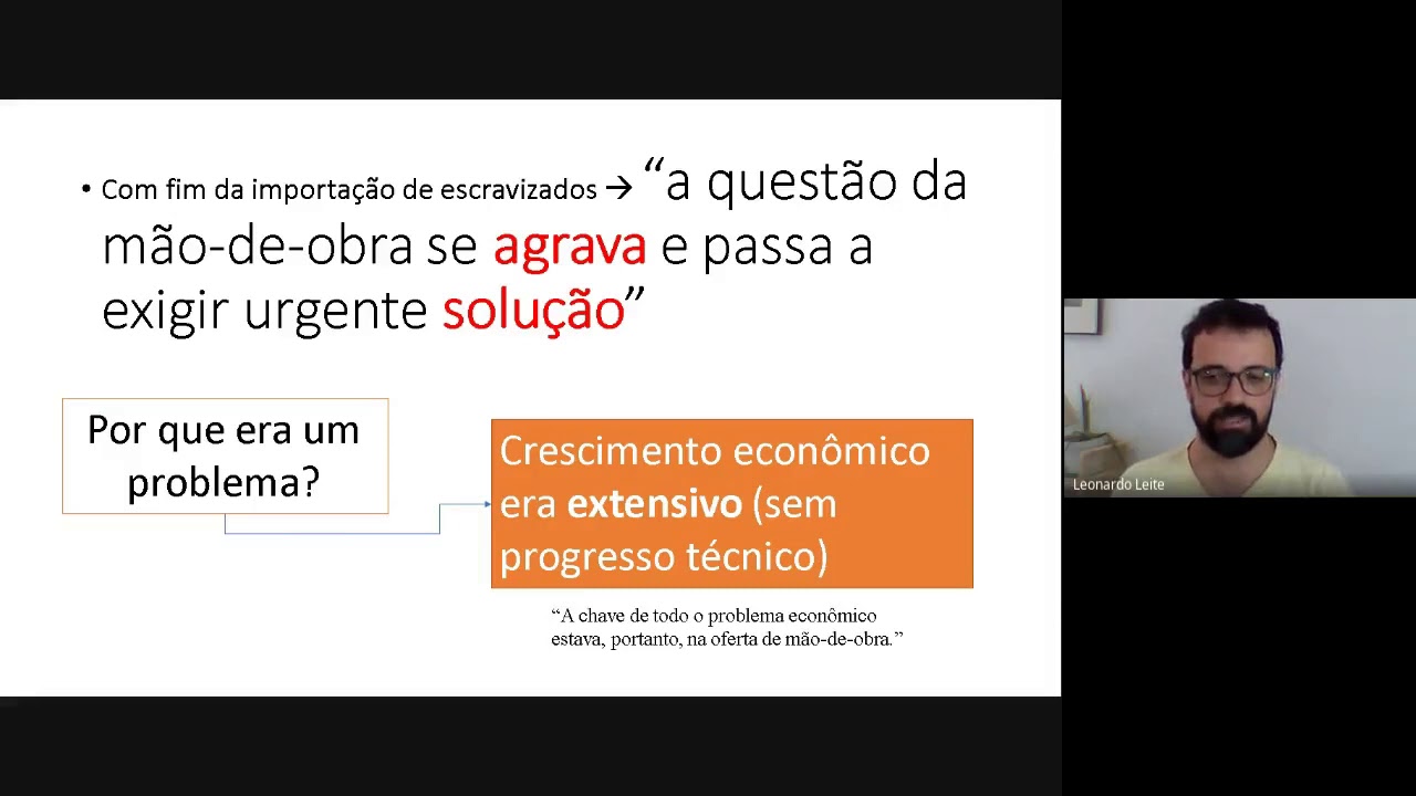 Formação Econômica do Brasil (parte 4.2, Problema da mão de obra) | Celso Furtado