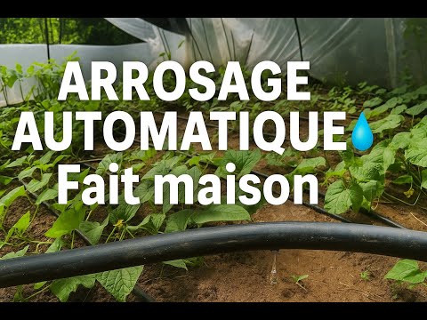 Système d’arrosage automatique fait maison – simple, sans pompe et à petit prix 💧🌿