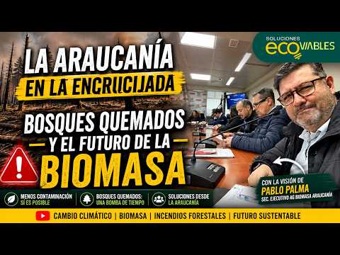 Los bosques quemados que nadie limpia: la bomba de tiempo en La Araucanía 🔥🌲🔥🌲🔥🌲🔥 🏡 🇨🇱