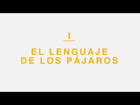 MAD TREE   El Lenguaje De Los Pájaros Video Oficial