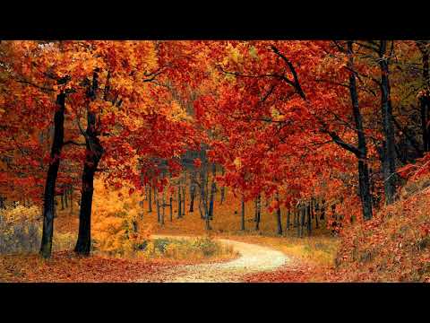 Las Cuatro Estaciones (Four Seasons) - Vivaldi