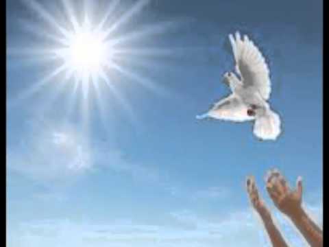 Evangelho do dia 20 de maio de 2014 com o Padre Sidinei Teixeira Gomes - Pascom Campo Mourão