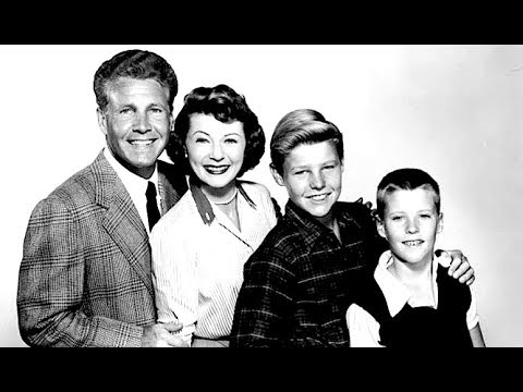 1950年代のテレビシットコムは60年代世代を挑発した (1950s TV Sitcoms Provoked The 60s Generation)