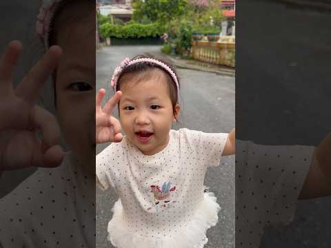 Cái bờm | An Chi