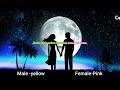 Baar Baar Tohe Kya Samjhaye Payal Ki Jhankar Karaoke With Female Voice