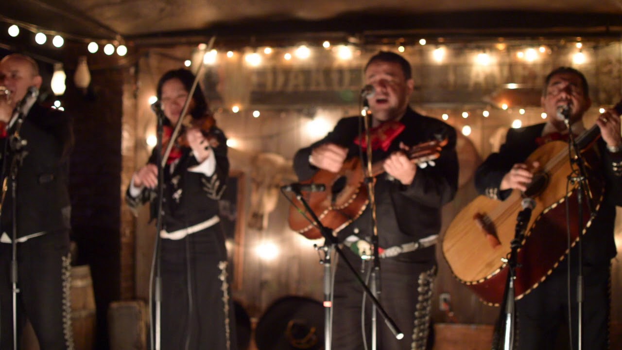 Promotional video thumbnail 3 for Mariachi Fuego