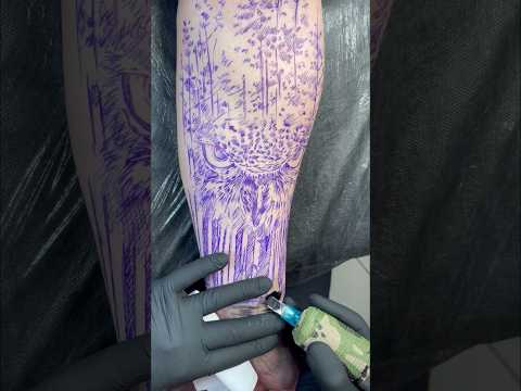 Owl tattoo